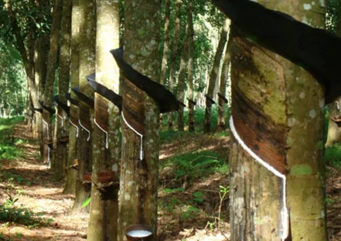 消費(fèi)強(qiáng)勁 消費(fèi)強(qiáng)勁