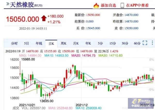 橡膠停割即將開啟，