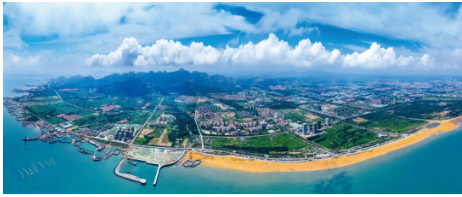 賽輪大手筆！175億元投資董家口新工廠