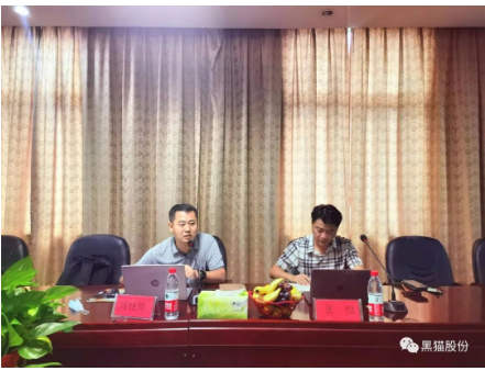 　安徽中鼎做為國內(nèi)最大的汽車橡膠零部件生產(chǎn)、出口企業(yè)，是黑貓股份差異化產(chǎn)品的重要客戶之一，此次評審為安徽中鼎第一次對黑貓公司開展審核活動(dòng)，也是邯鄲黑貓首次接受差異化產(chǎn)品客戶方審核。